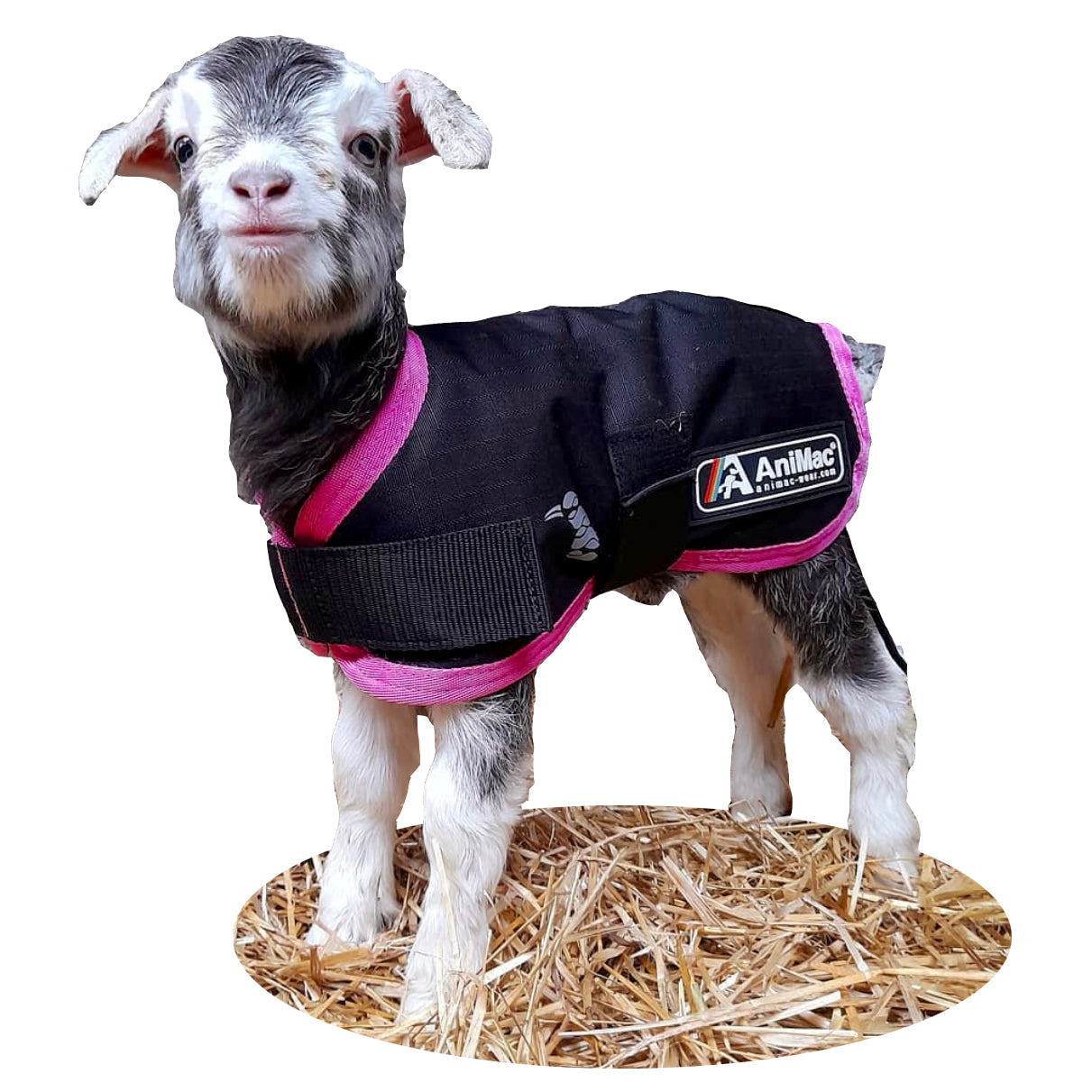 AniMac Lamb Coat Kid Coat