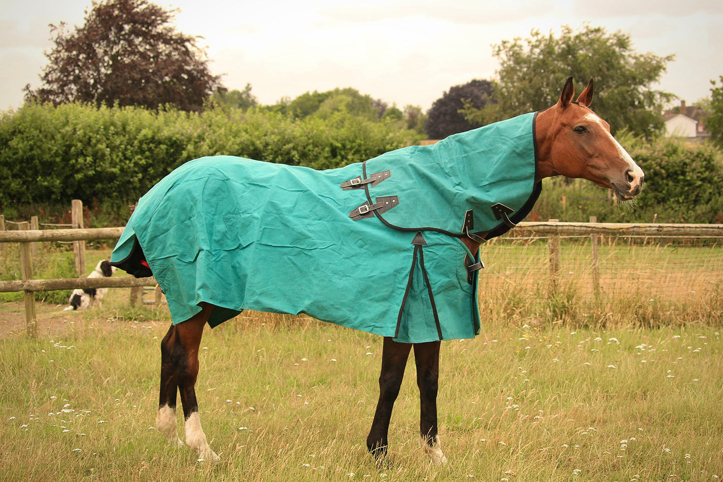 Turnout RUg Canvas NZ