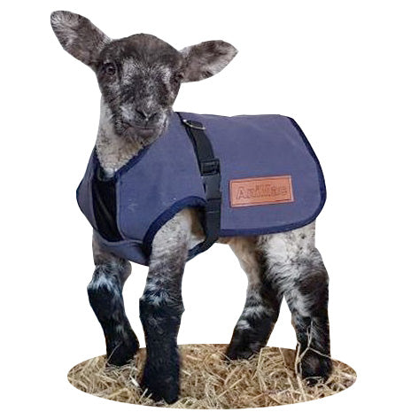 Lamb Coat