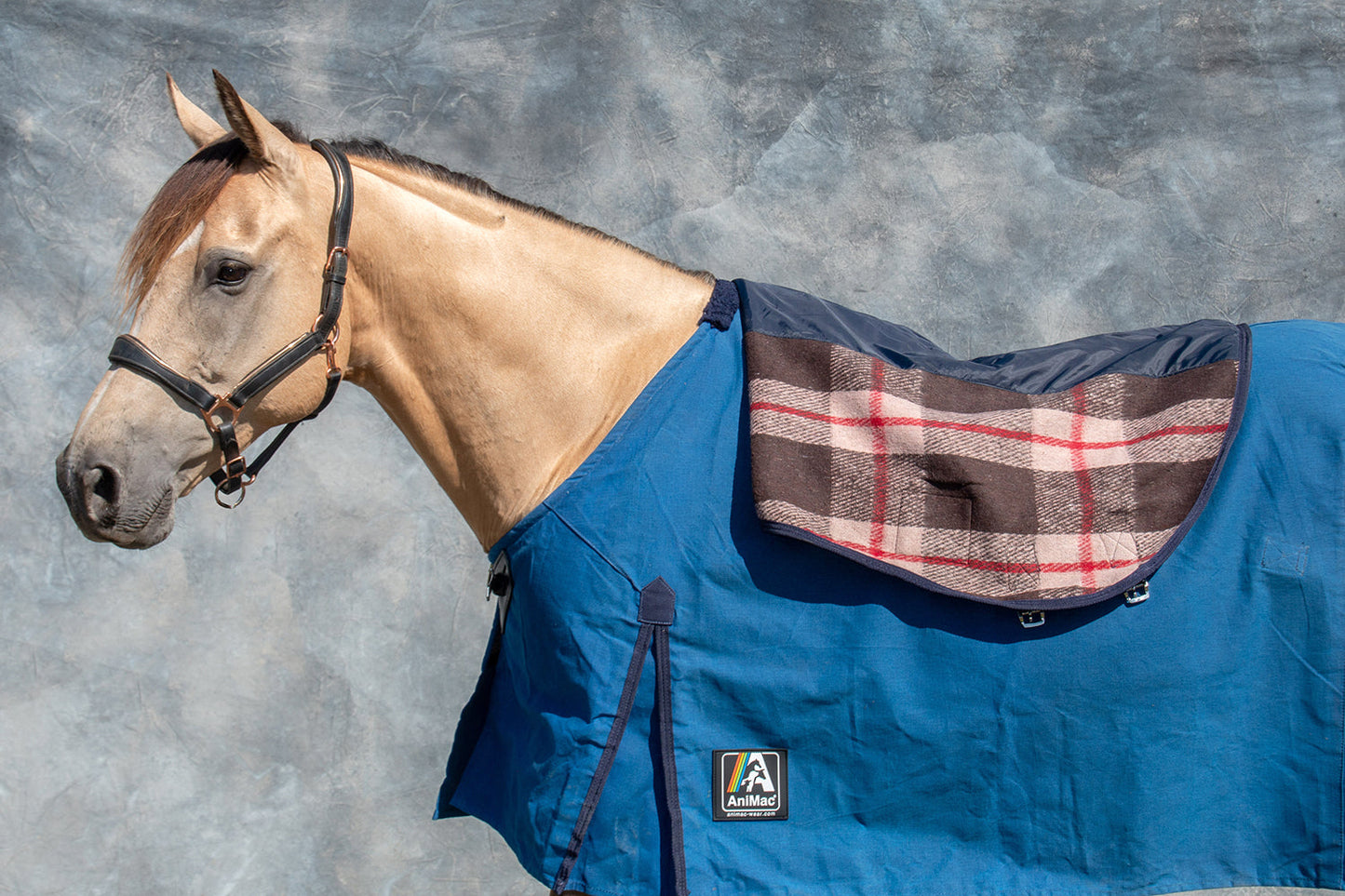Neck Cover | NZ 18oz Canvas and Wool Lining